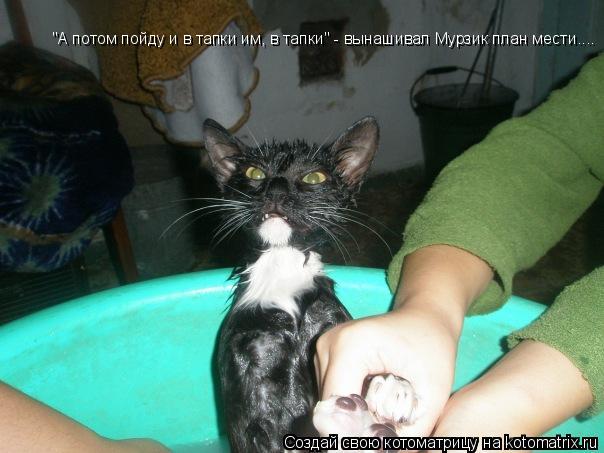 Котоматрица: "А потом пойду и в тапки им, в тапки" - вынашивал Мурзик план мести....