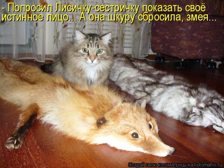 Котоматрица: - Попросил Лисичку-сестричку показать своё истинное лицо... А она шкуру сбросила, змея...