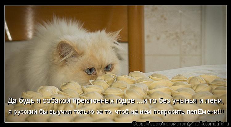 Котоматрица: Да будь я собакой преклонных годов ...и то без унынья и лени, я русский бы выучил только за то, чтоб на нем попросить пелEмени!!!