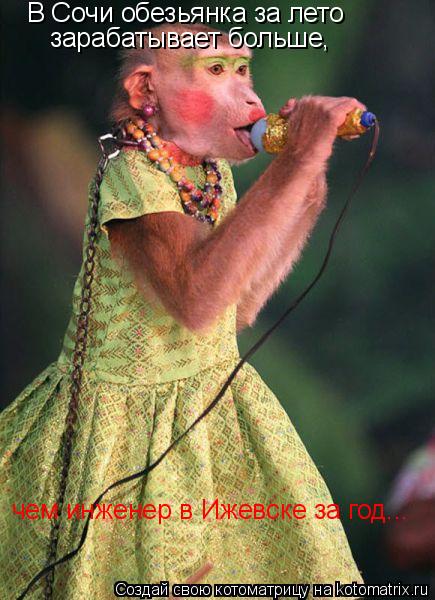 Котоматрица: В Сочи обезьянка за лето зарабатывает больше, чем инженер в Ижевске за год...