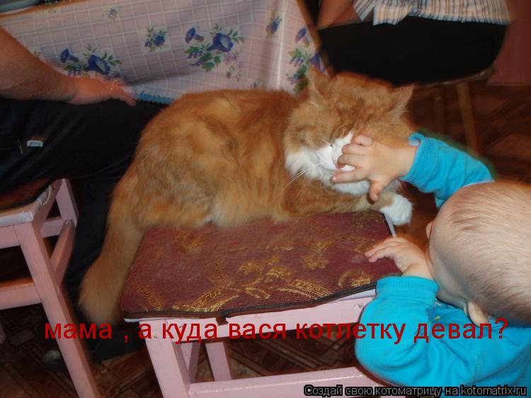 Котоматрица: мама , а куда вася котлетку девал?