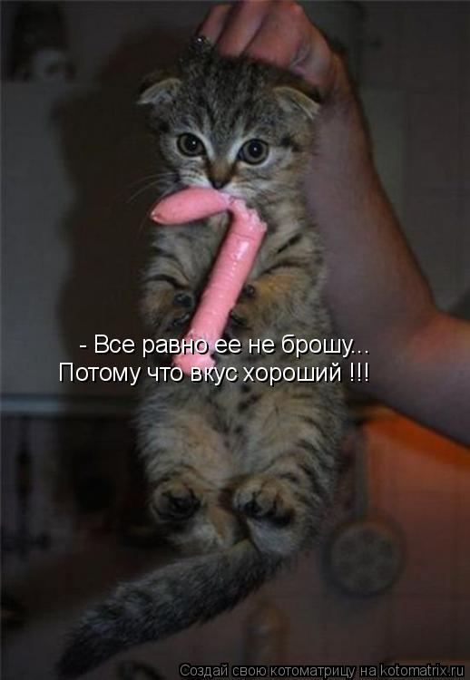 Котоматрица: - Все равно ее не брошу... Потому что вкус хороший !!!