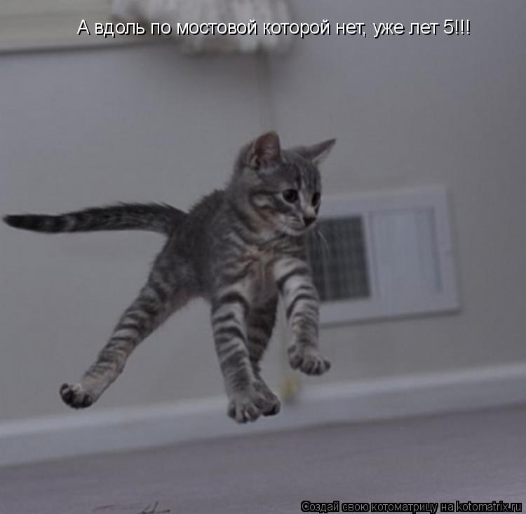 Котоматрица: А вдоль по мостовой которой нет, уже лет 5!!!