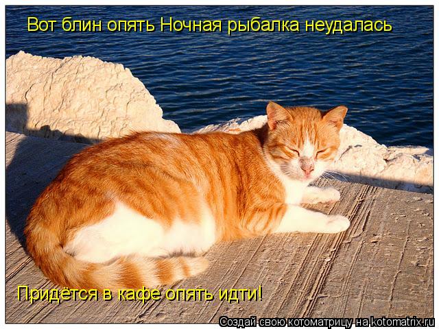 Котоматрица: Вот блин опять Ночная рыбалка неудалась Придётся в кафе опять идти!