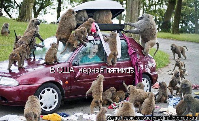 Котоматрица: В США «черная пятница»!