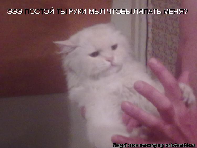 Котоматрица: ЭЭЭ ПОСТОЙ ТЫ РУКИ МЫЛ ЧТОБЫ ЛЯПАТЬ МЕНЯ?