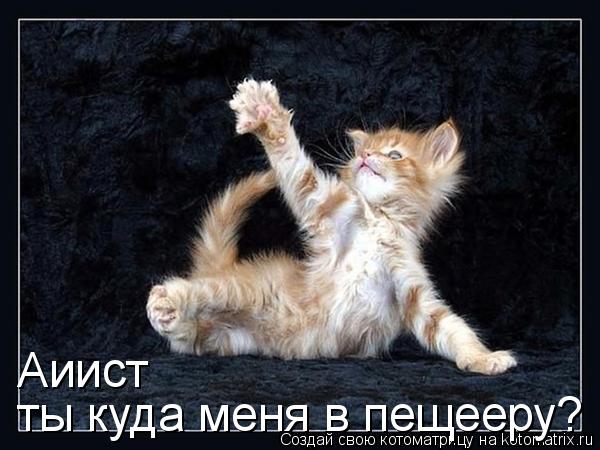 Котоматрица: ты куда меня в пещееру? Аиист