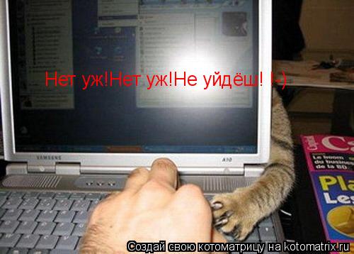 Котоматрица: Нет уж!Нет уж!Не уйдёш! !-)