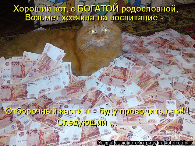 Хороший кот, с БОГАТОЙ родословной, Возьмет хозяина на воспитание - Отборочный кастинг - буду проводи... Котоматрица: Хороший кот, с БОГАТОЙ родословной, Возьмет хозяина на воспитание - Отборочный кастинг - буду проводить сам!!! Следующий ...