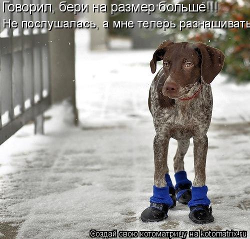 Котоматрица: Говорил, бери на размер больше!!! Не послушалась, а мне теперь разнашивать