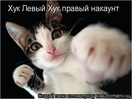 Котоматрица: Хук Левый Хук правый накаунт