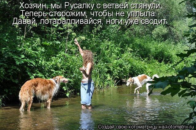 Котоматрица: Хозяин, мы Русалку с ветвей стянули, Теперь сторожим, чтобы не уплыла. Давай, потарапливайся, ноги уже сводит.