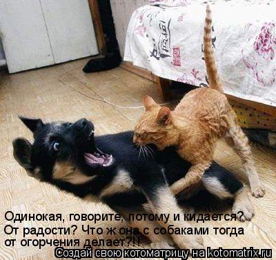 Котоматрица: Одинокая, говорите, потому и кидается? От радости? Что ж она с собаками тогда  от огорчения делает?!!