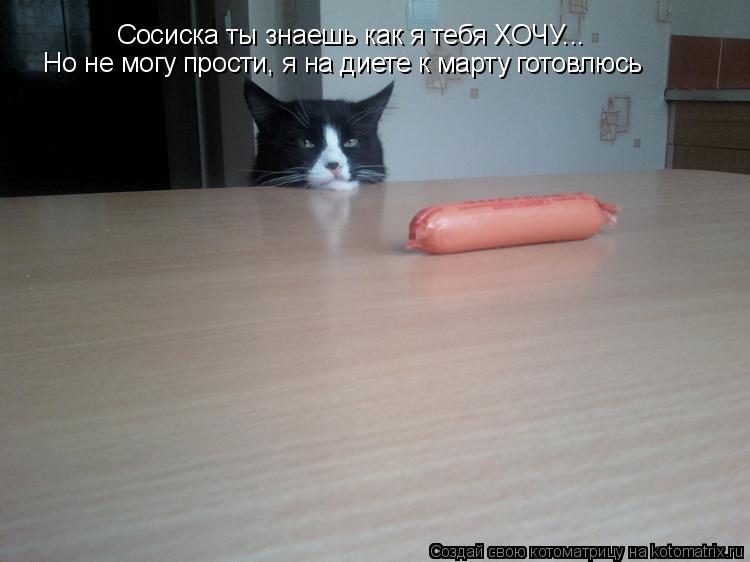Котоматрица: Сосиска ты знаешь как я тебя ХОЧУ... Но не могу прости, я на диете к марту готовлюсь