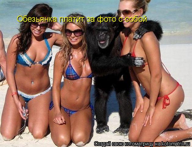 Котоматрица: Обезьянка платит за фото с собой