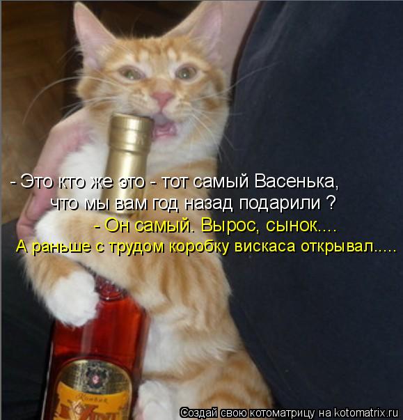 Котоматрица: - Это кто же это - тот самый Васенька,  что мы вам год назад подарили ? - Он самый. Вырос, сынок.... А раньше с трудом коробку вискаса открывал.....