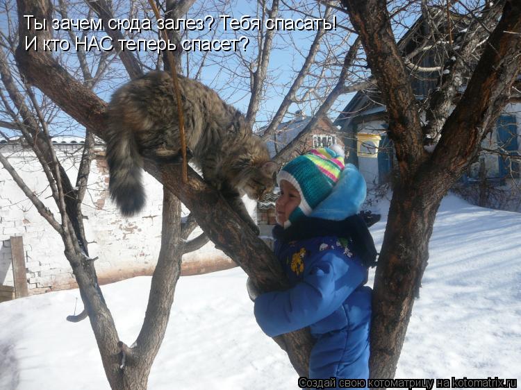 Котоматрица: Ты зачем сюда залез? Тебя спасать! И кто НАС теперь спасет?