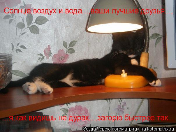 Котоматрица: ...я,как видишь не дурак...,загорю быстрее так... Солнце,воздух и вода...,ваши лучшие друзья...,
