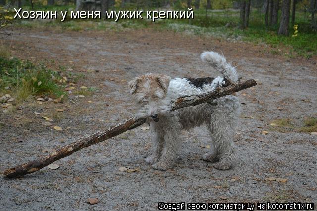 Котоматрица: Хозяин у меня мужик крепкий