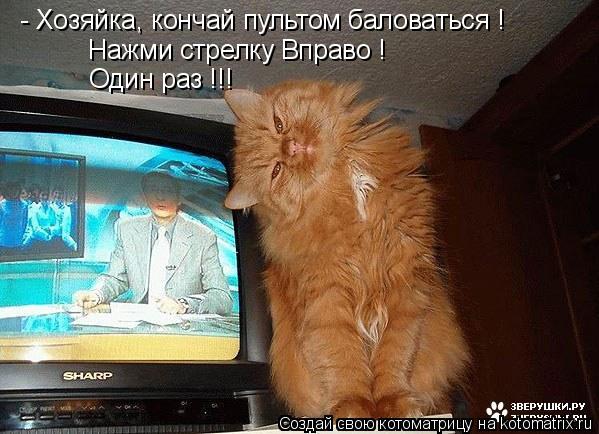 Котоматрица: - Хозяйка, кончай пультом баловаться ! Нажми стрелку Вправо ! Один раз !!!