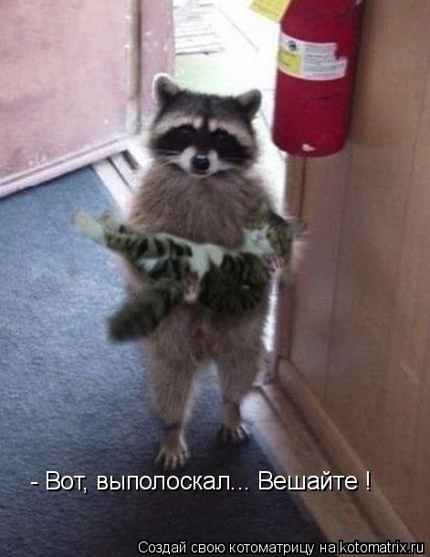 Котоматрица: - Вот, выполоскал... Вешайте !