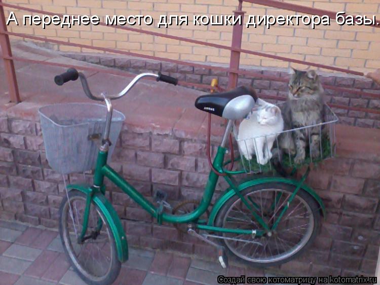 Котоматрица: А переднее место для кошки директора базы.