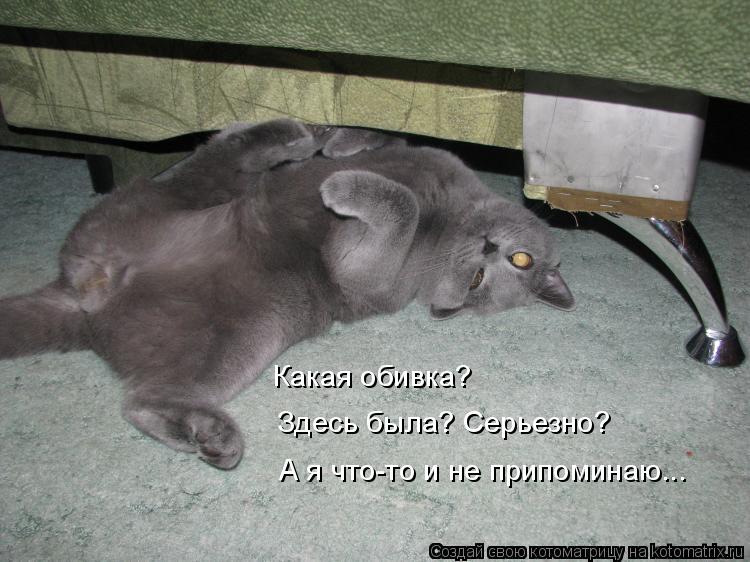 Котоматрица: Здесь была? Серьезно? А я что-то и не припоминаю... Какая обивка?