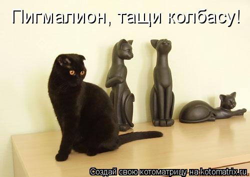 Котоматрица: Пигмалион, тащи колбасу!