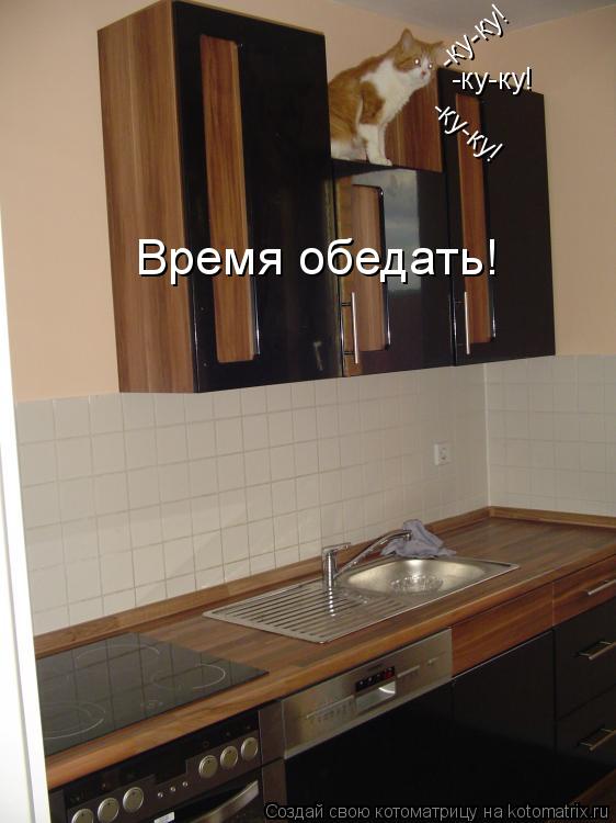 Котоматрица: -ку-ку! -ку-ку! -ку-ку! Время обедать!