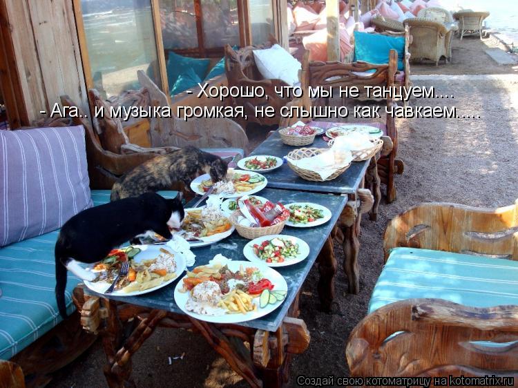 - Хорошо, что мы не танцуем.... - Ага.. и музыка громкая, не слышно как чавкаем........ Котоматрица: - Хорошо, что мы не танцуем.... - Ага.. и музыка громкая, не слышно как чавкаем.....