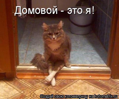 Котоматрица: Домовой - это я!