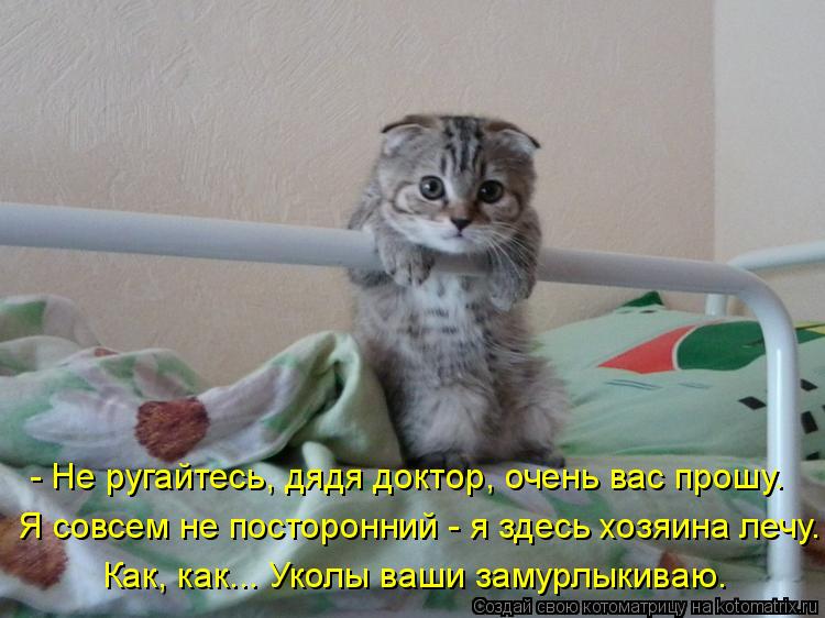 - Не ругайтесь, дядя доктор, очень вас прошу. Я совсем не посторонний - я здесь хозяина лечу. Как, ка... Котоматрица: - Не ругайтесь, дядя доктор, очень вас прошу. Я совсем не посторонний - я здесь хозяина лечу. Как, как... Уколы ваши замурлыкиваю.