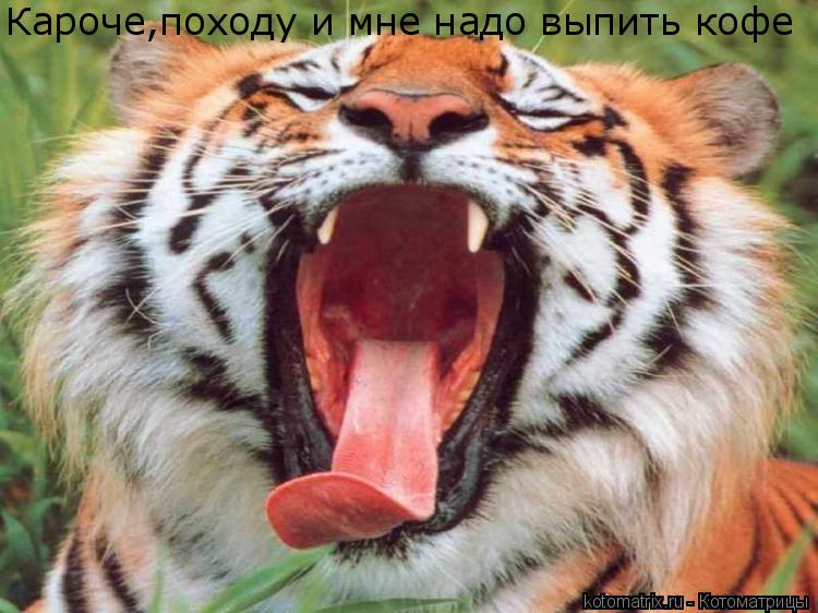 Котоматрица: Кароче,походу и мне надо выпить кофе