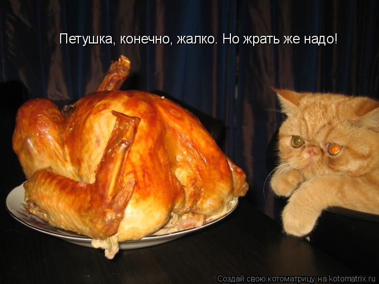 Котоматрица: Петушка, конечно, жалко. Но жрать же надо!
