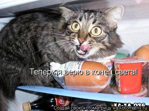 Котоматрица: Теперь я верю в конец света!