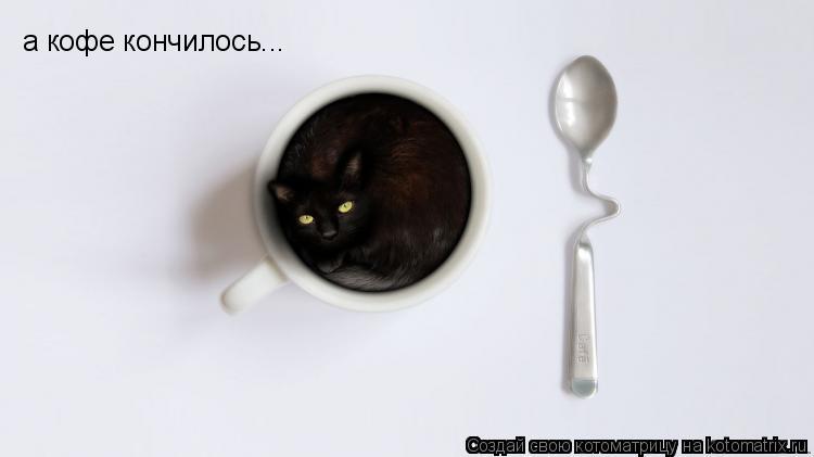 Котоматрица: а кофе кончилось...