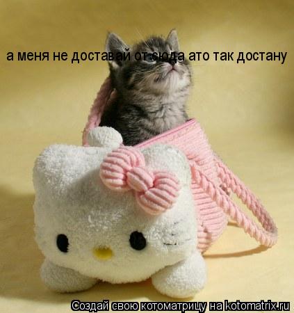 Котоматрица: а меня не доставай от сюда ато так достану