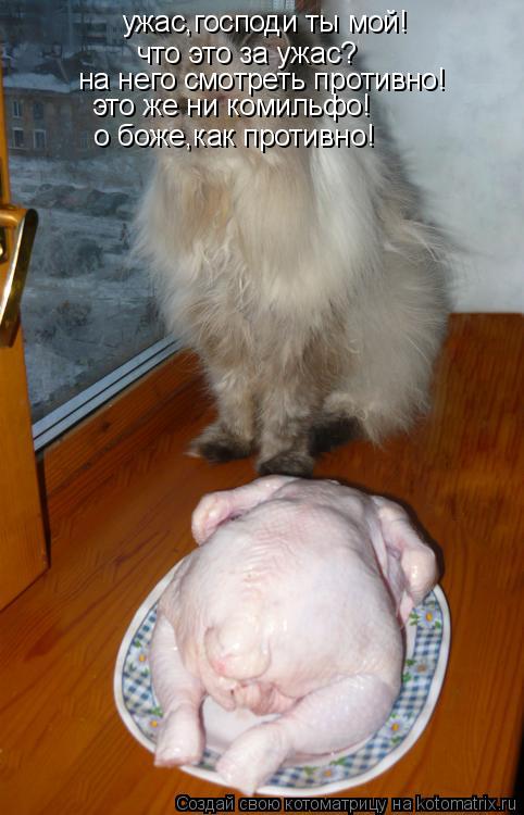 Котоматрица: ужас,господи ты мой! что это за ужас? на него смотреть противно! это же ни комильфо! о боже,как противно!