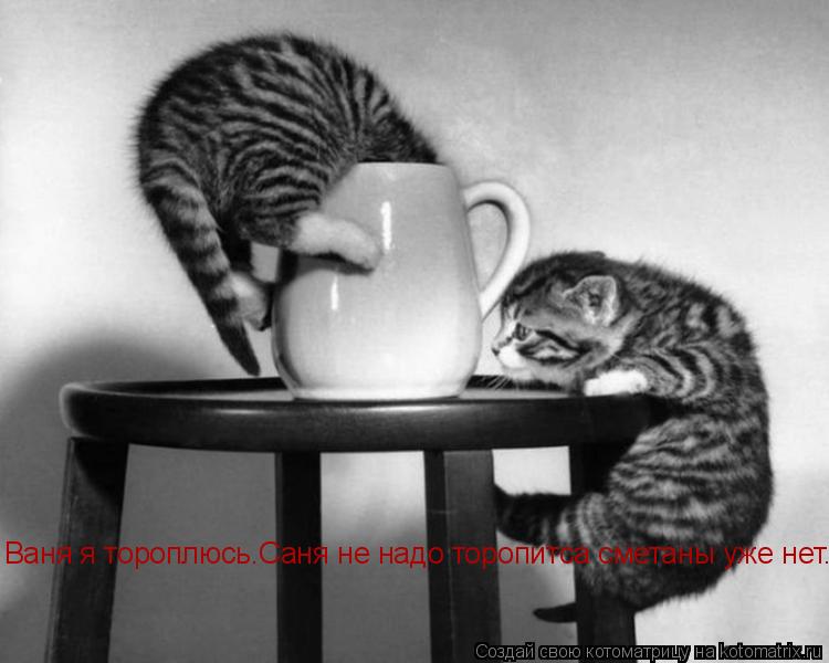 Ваня я тороплюсь.Саня не надо торопитса сметаны уже нет...... Котоматрица: Ваня я тороплюсь.Саня не надо торопитса сметаны уже нет...