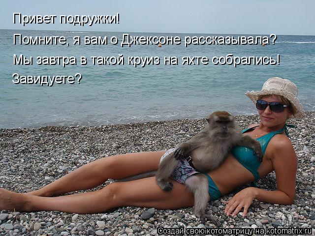 Привет подружки! Помните, я вам о Джексоне рассказывала? Мы завтра в такой круиз на яхте собрались! З... Котоматрица: Привет подружки! Помните, я вам о Джексоне рассказывала? Мы завтра в такой круиз на яхте собрались! Завидуете?