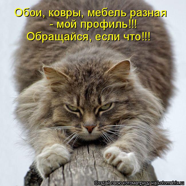 Обои, ковры, мебель разная - мой профиль!!! Обращайся, если что!!!... Котоматрица: Обои, ковры, мебель разная - мой профиль!!! Обращайся, если что!!!