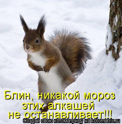 Блин, никакой мороз этих алкашей не останавливает!!!... Котоматрица: Блин, никакой мороз этих алкашей не останавливает!!!