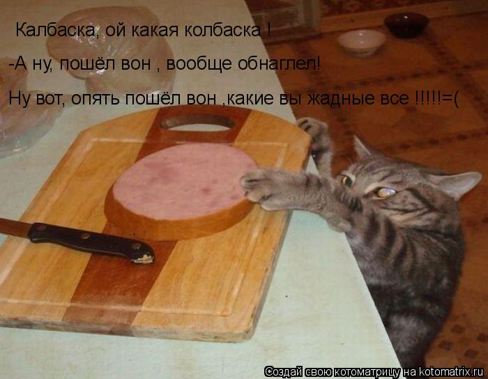 Калбаска, ой какая колбаска ! -А ну, пошёл вон , вообще обнаглел! Ну вот, опять пошёл вон ,какие вы ... Котоматрица: Калбаска, ой какая колбаска ! -А ну, пошёл вон , вообще обнаглел! Ну вот, опять пошёл вон ,какие вы жадные все !!!!!=(