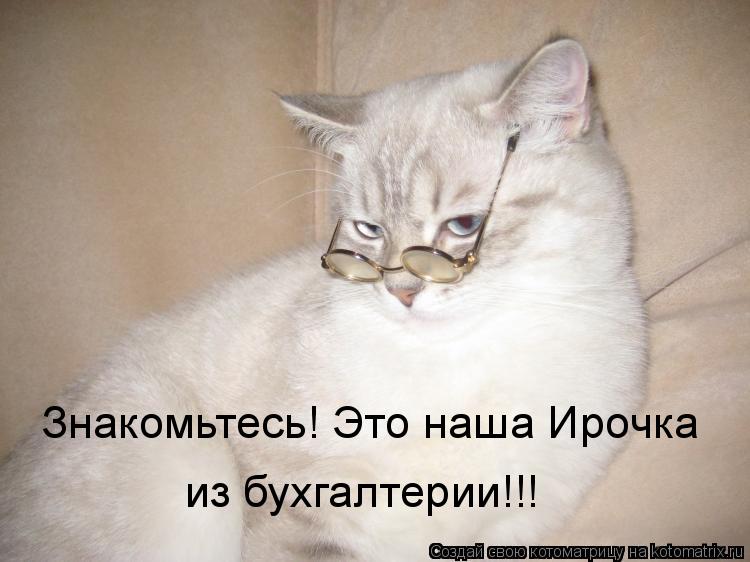 Знакомьтесь! Это наша Ирочка из бухгалтерии!!!... Котоматрица: Знакомьтесь! Это наша Ирочка из бухгалтерии!!!