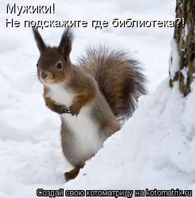 Котоматрица: Мужики!  Не подскажите где библиотека?!