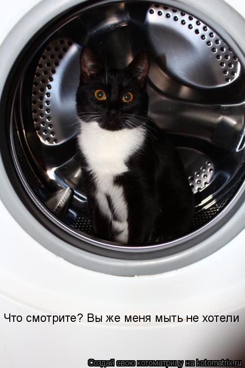 Котоматрица: Что смотрите? Вы же меня мыть не хотели
