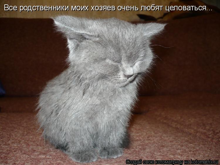 Котоматрица: Все родственники моих хозяев очень любят целоваться...