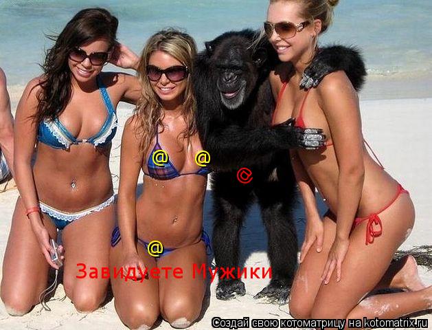 Котоматрица: Завидуете Мужики  @ @ @ @