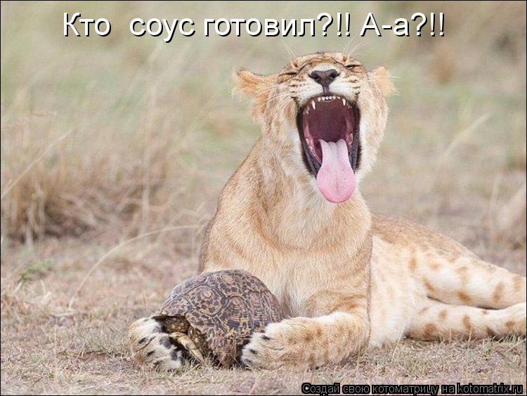 Котоматрица: Кто  соус готовил?!! А-а?!!