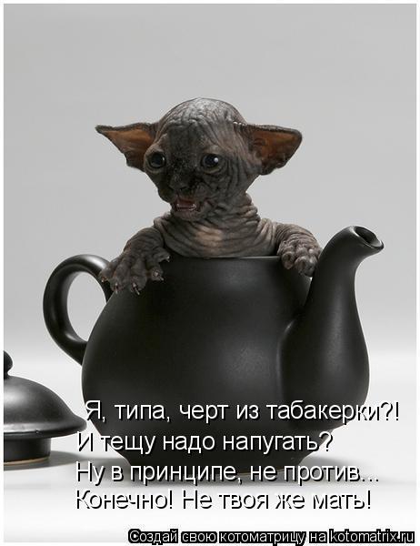 Котоматрица: Ну в принципе, не против... И тещу надо напугать? Конечно! Не твоя же мать!  Я, типа, черт из табакерки?!